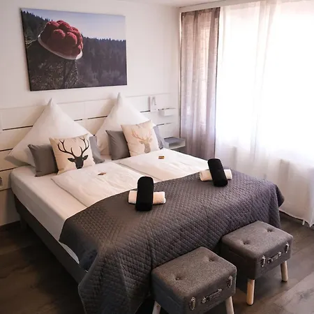 Albview-apartment1 -zentral-naehe Klinik-therme-agilent Apartman *