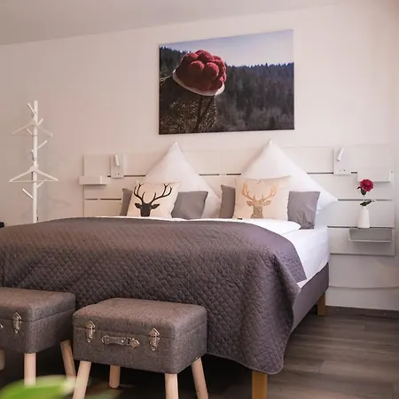 Albview-apartment1 -zentral-naehe Klinik-therme-agilent * Waldbronn