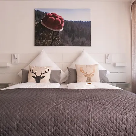 Albview-apartment1 -zentral-naehe Klinik-therme-agilent * Waldbronn
