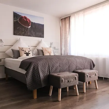 Apartman Albview-apartment1 -zentral-naehe Klinik-therme-agilent