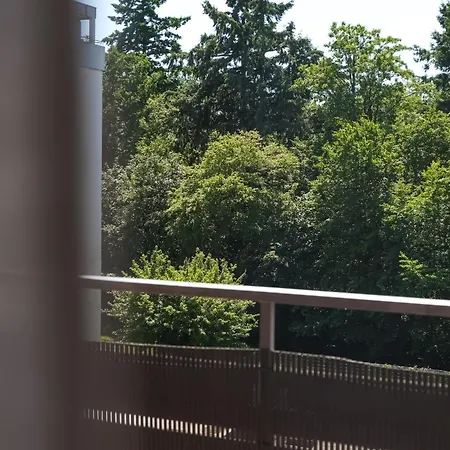 Albview-apartment1 -zentral-naehe Klinik-therme-agilent *